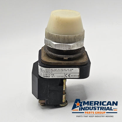 Allen-Bradley 800T-P16 Series T 30mm pilot light 120V white lens for industrial control panels and machine indication